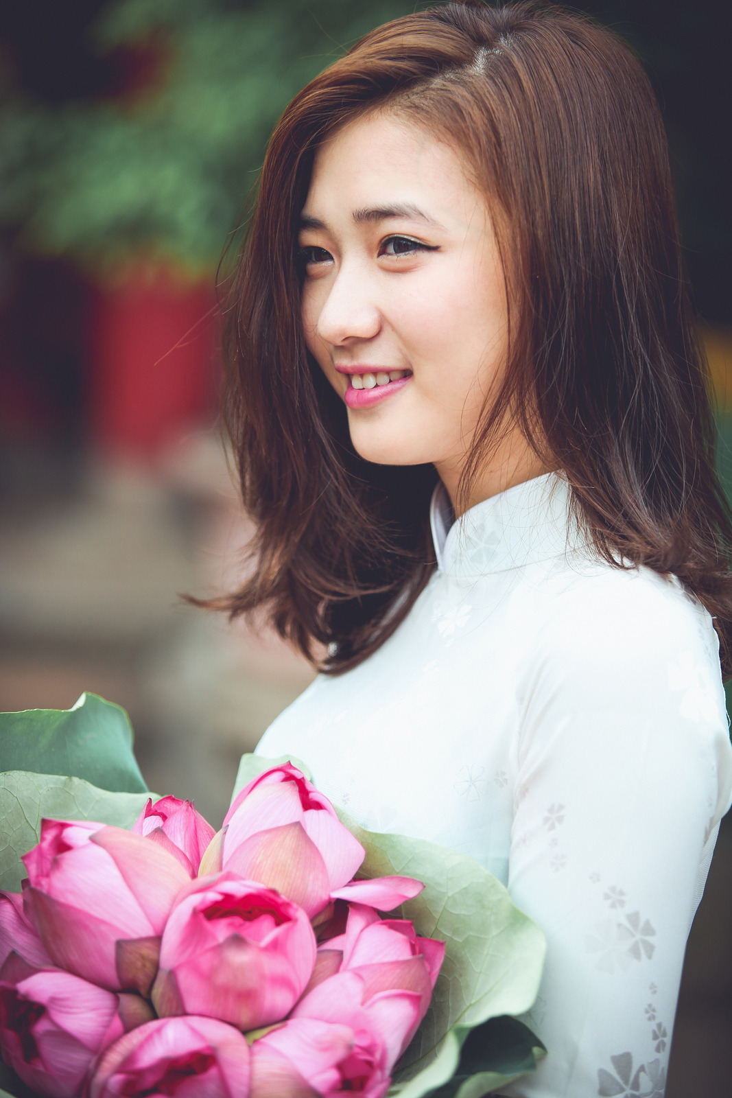 你是我的荣耀免费观看