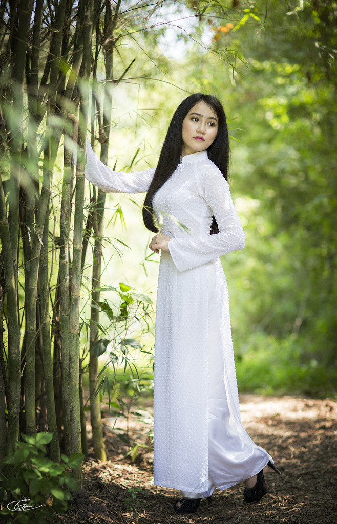 《南来北往》